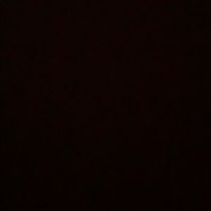 Meet your Posher, Mya